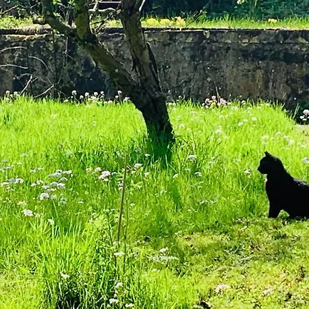 Appartement Der 5. Raum - Und Entspannung *