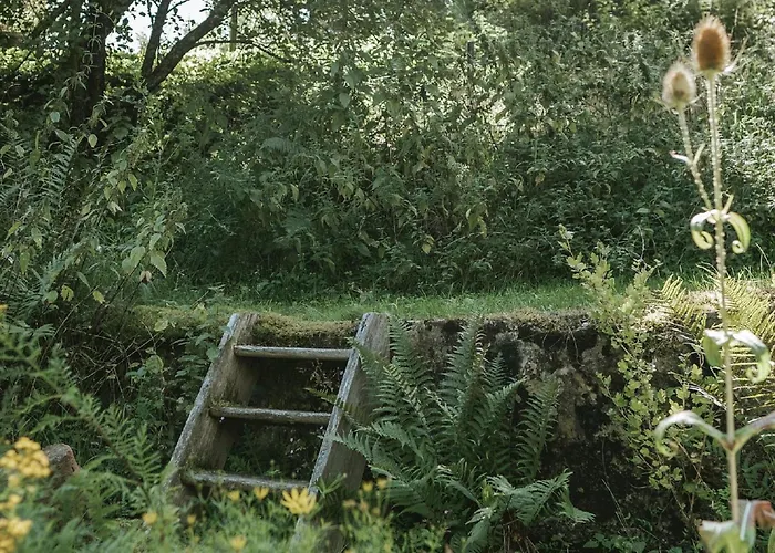 Der 5. Raum - Und Entspannung Apartment *