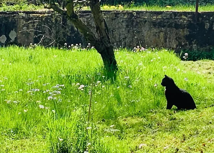 Apartment Der 5. Raum - Und Entspannung *